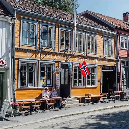 公寓 Liten I Gamle Bybro - Parkering Inkludert *