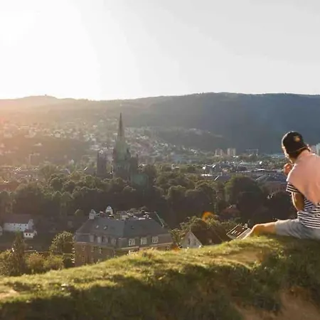 Liten I Gamle Bybro - Parkering Inkludert Trondheim