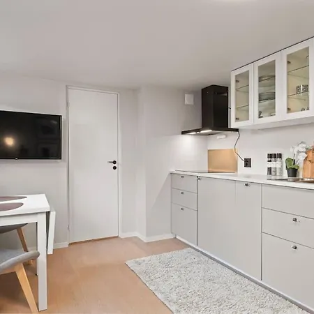 Liten I Gamle Bybro - Parkering Inkludert Apartment